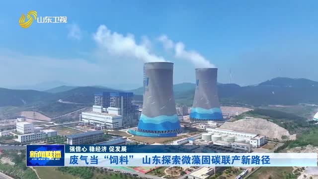 废气当“饲料” 山东探索微藻固碳联产新路径【强信心 稳经济 促发展】