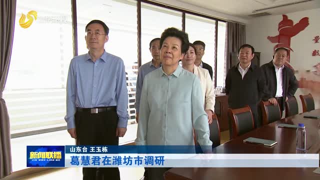 葛慧君在潍坊市调研
