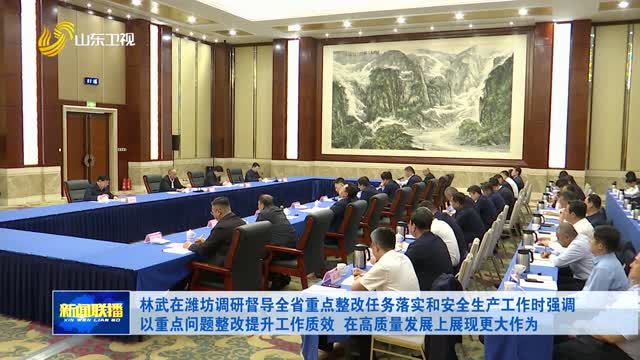 林武在潍坊调研督导全省重点整改任务落实和安全生产工作时强调 以重点问题整改提升工作质效 在高质量发展上展现更大作为