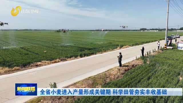 全省小麦进入产量形成关键期 科学田管夯实丰收基础