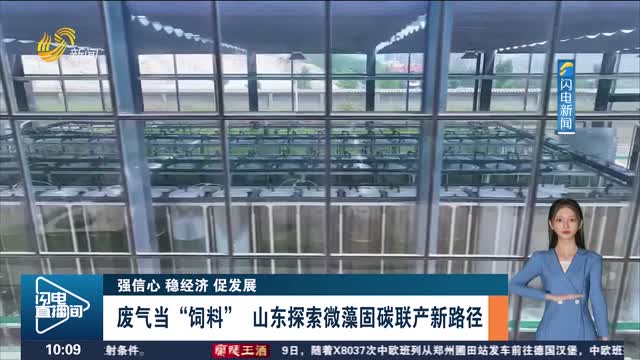 【强信心 稳经济 促发展】废气当“饲料” 山东探索微藻固碳联产新路径