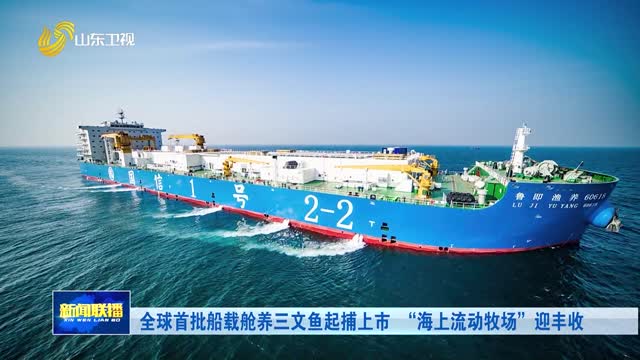 全球首批船载舱养三文鱼起捕上市 “海上流动牧场”迎丰收