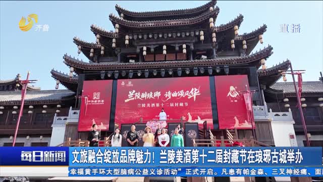 文旅融合绽放品牌魅力！兰陵美酒第十二届封藏节在琅琊古城举办