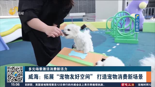 【多元场景激活消费新活力】威海：拓展“宠物友好空间” 打造宠物消费新场景