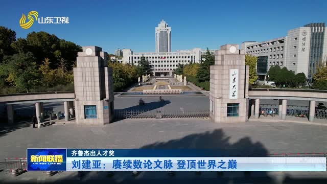 刘建亚：赓续数论文脉 登顶世界之巅【齐鲁杰出人才奖】