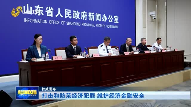 打击和防范经济犯罪 维护经济金融安全【权威发布】