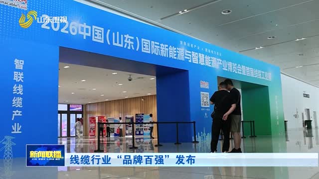 线缆行业“品牌百强”发布