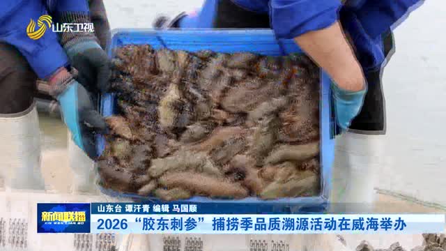 2026“胶东刺参”捕捞季品质溯源活动在威海举办