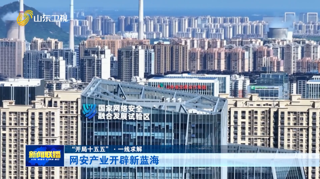 网安产业开辟新蓝海【“开局十五五”·一线求解】