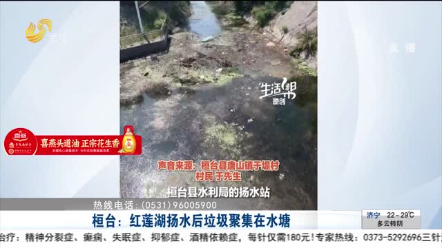 【帮办出马】桓台：红莲湖扬水后垃圾聚集在水塘