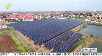 东营垦利：闲置地“生金” 村民笑开颜