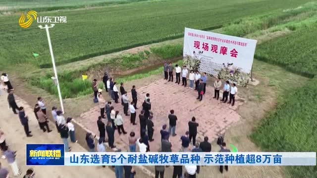 山东选育5个耐盐碱牧草品种 示范种植超8万亩
