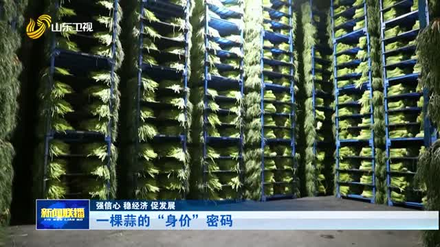 一棵蒜的“身价”密码【强信心 稳经济 促发展】