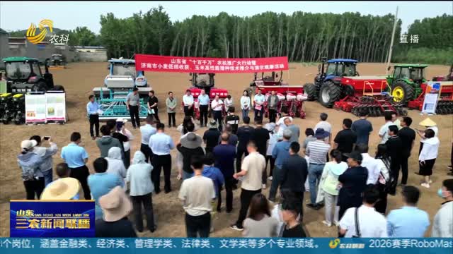 【农技推广在行动】济南：泉城农技“垄上行” 科技特派员在行动