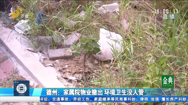 德州：家属院物业公司撤出 环境卫生没人管？