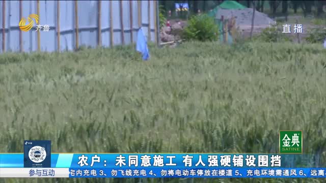 淄博:丰收在即 麦田却遭到恶意破坏?