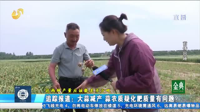 追踪报道：大蒜严重减产 原因到底是什么？