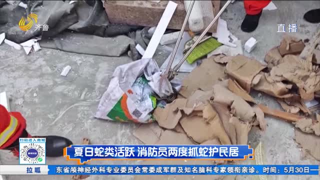 夏日蛇类活跃 消防员两度抓蛇护民居