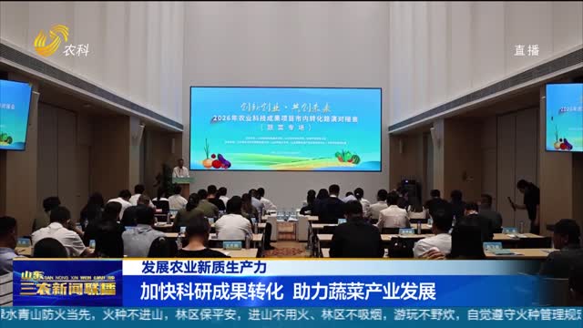 【发展农业新质生产力】加快科研成果转化 助力蔬菜产业发展