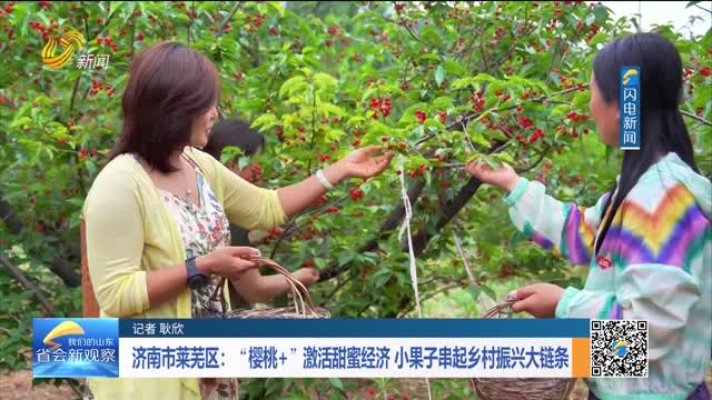 济南市莱芜区：“樱桃+” 激活甜蜜经济 小果子串起乡村振兴大链条