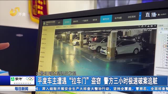 平度车主遭遇“拉车门”盗窃 警方三小时极速破案追赃