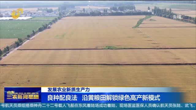 【发展农业新质生产力】良种配良法 沿黄粮田解锁绿色高产新模式