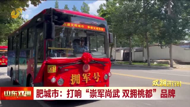 肥城市：打响“崇军尚武 双拥桃都“品牌