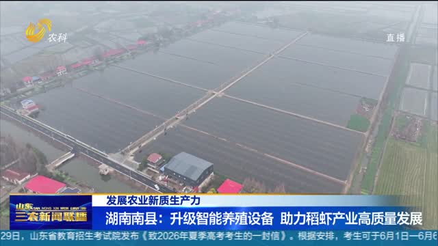 【发展农业新质生产力】湖南南县：升级智能养殖设备 助力稻虾产业高质量发展