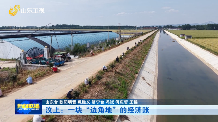 汶上:一块“边角地”的经济账