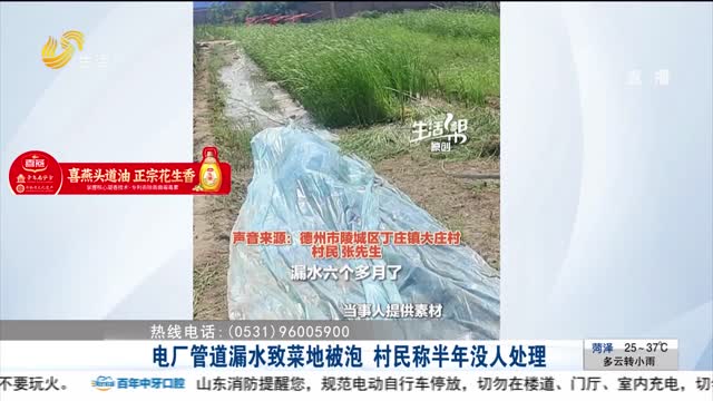 电厂管道漏水致菜地被泡 村民称半年没人处理