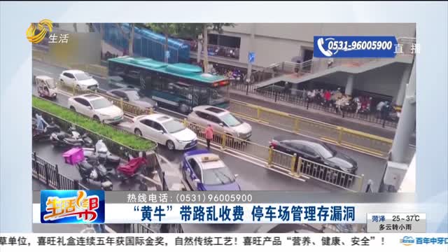 “黄牛”带路乱收费 停车场管理存漏洞