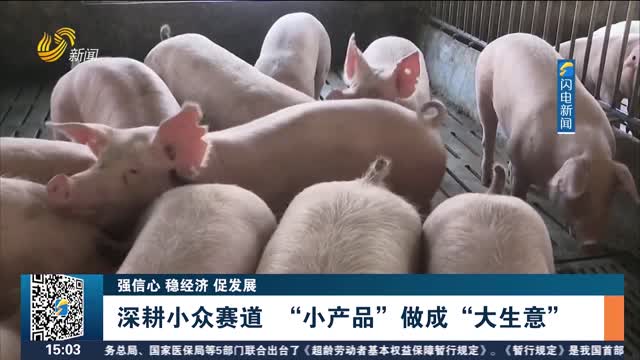 【强信心 稳经济 促发展】深耕小众赛道 “小产品”做成“大生意”