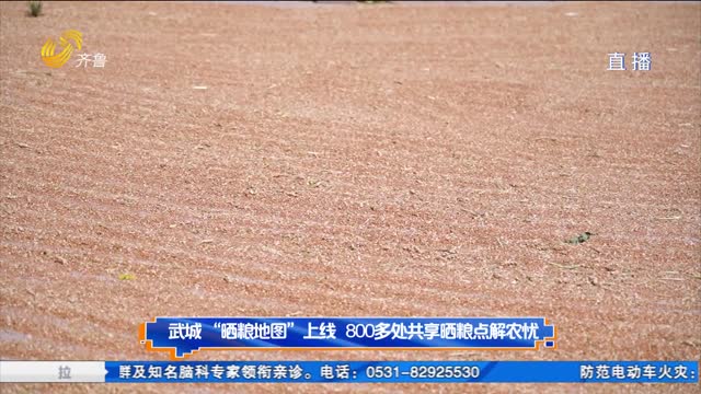 武城“晒粮地图”上线 800多处共享晒粮点解农忧