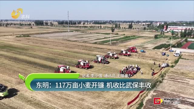 东明：117万亩小麦开镰 机收比武保丰收
