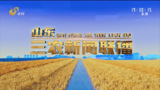 2026年06月04日山东三农新闻联播完整版