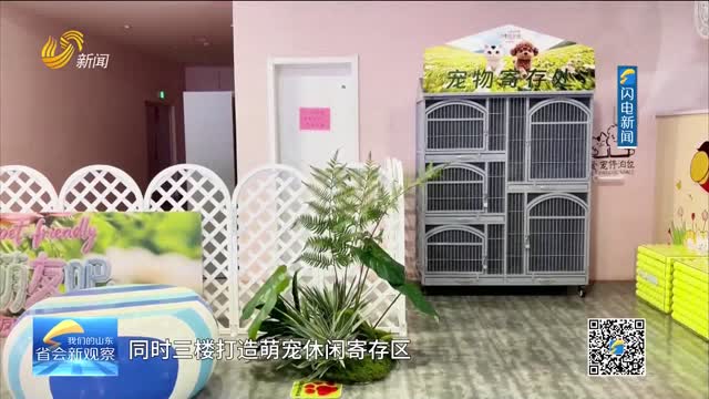 济南：宠物友好商圈“上新” “它经济”催生消费新场景