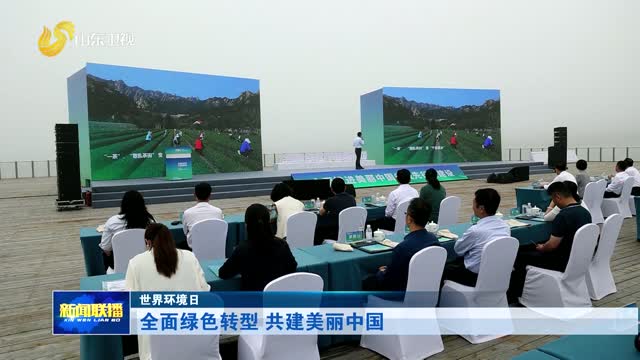 全面绿色转型 共建美丽中国【世界环境日】