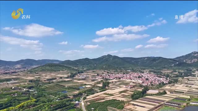 莒县：梯田云海入画来
