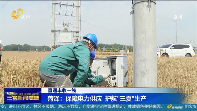 【直通丰收一线】菏泽：保障电力供应 护航“三夏”生产