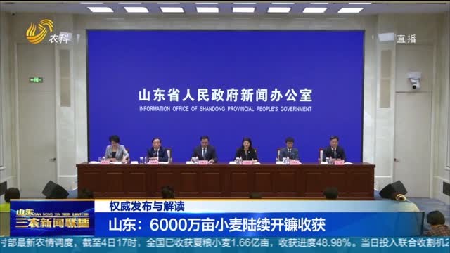 【权威发布与解读】山东：6000万亩小麦陆续开镰收获