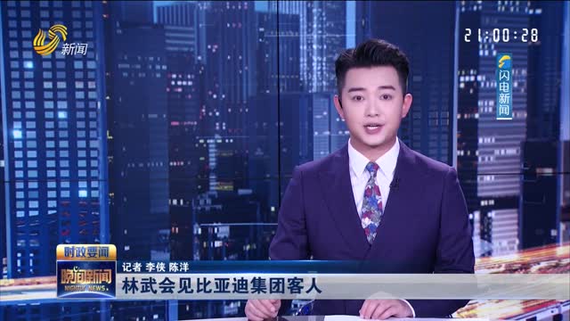 林武会见比亚迪集团客人