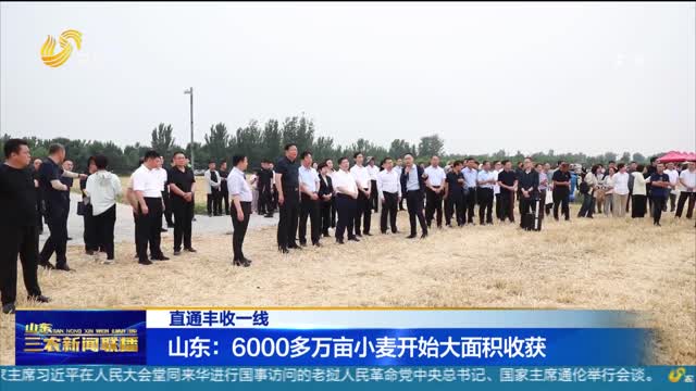 【直通丰收一线】山东：6000多万亩小麦开始大面积收获