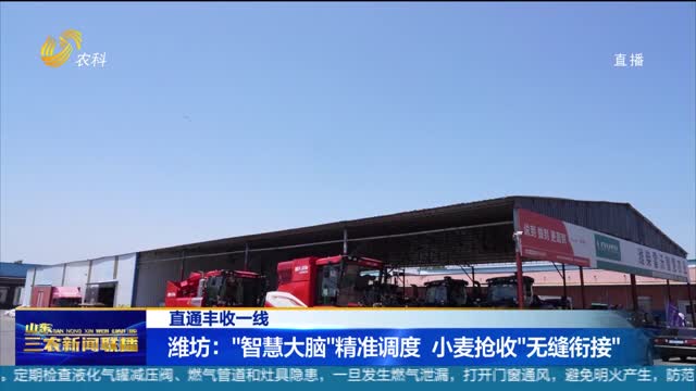 【直通丰收一线】 潍坊：“智慧大脑”精准调度 小麦抢收“无缝衔接”