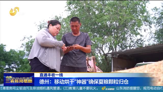 【直通丰收一线】德州：移动烘干“神器”确保夏粮颗粒归仓