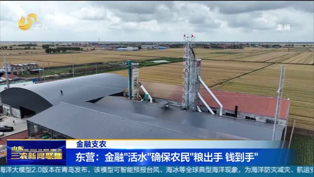 【金融支农】东营：金融“活水”确保农民“粮出手 钱到手”