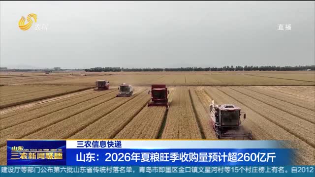【三农信息快递】山东：2026年夏粮旺季收购量预计超260亿斤
