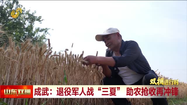 成武：退役军人战“三夏”助农抢收再“冲锋”