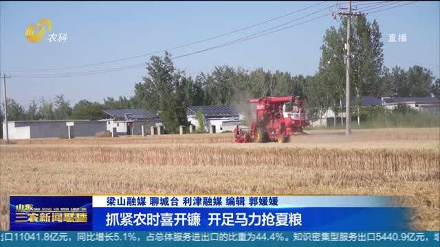 【直通丰收一线】抓紧农时喜开镰 开足马力抢夏粮