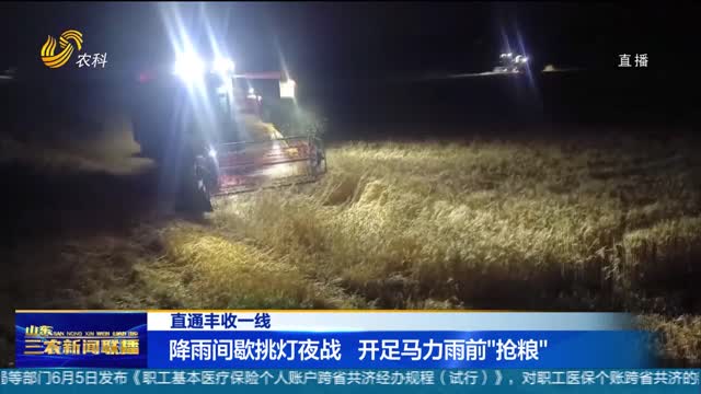 【直通丰收一线】降雨间歇挑灯夜战 开足马力雨前“抢粮”