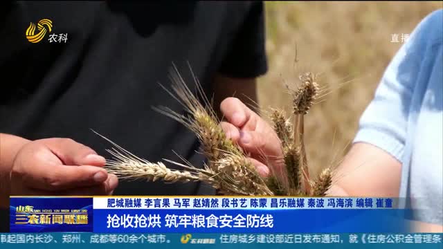 【直通丰收一线】抢收抢烘 筑牢粮食安全防线
